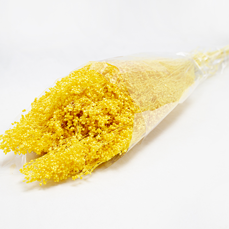 Brooms 50cm 100gr Amarelo