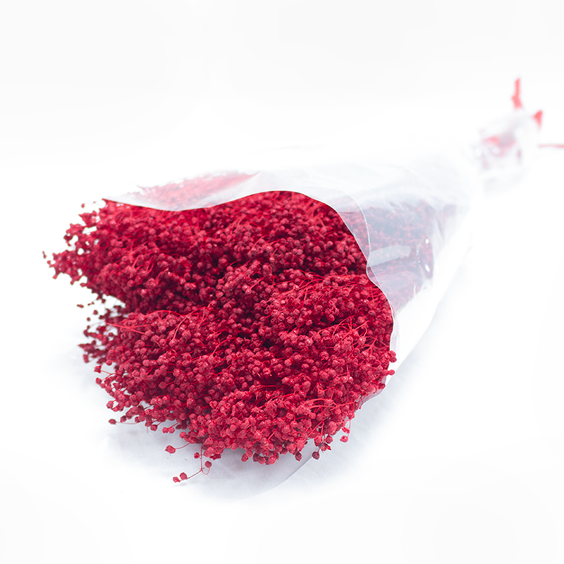 Brooms 50cm 100gr Fuchia