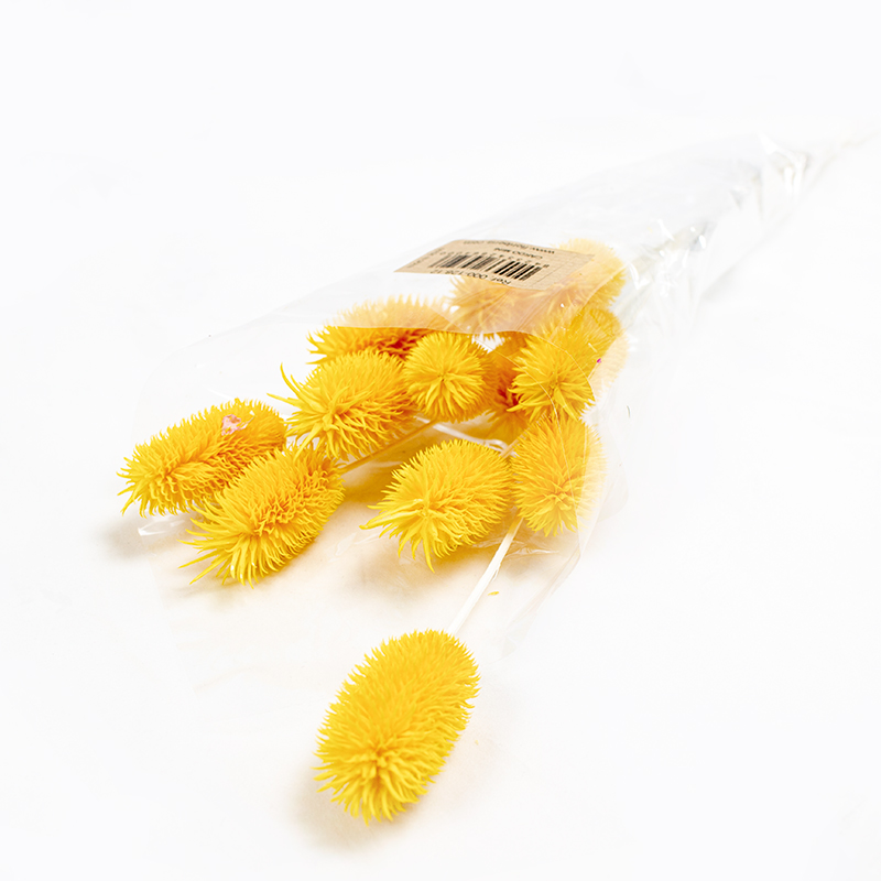 Cardo mini 35cm / 12 pcs Amarelo