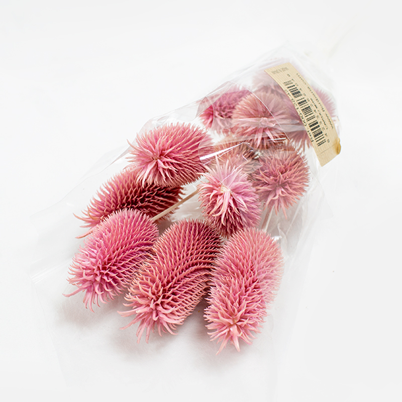 Cardo mini 35cm / 12 pcs Rosa
