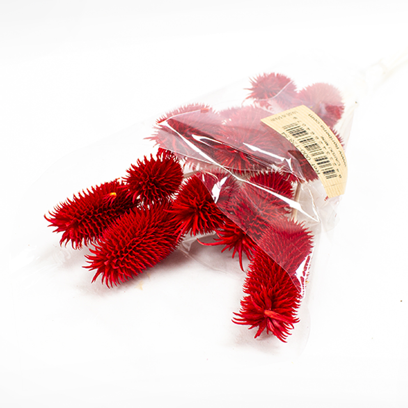 Cardo mini 35cm / 12 pcs Vermelho