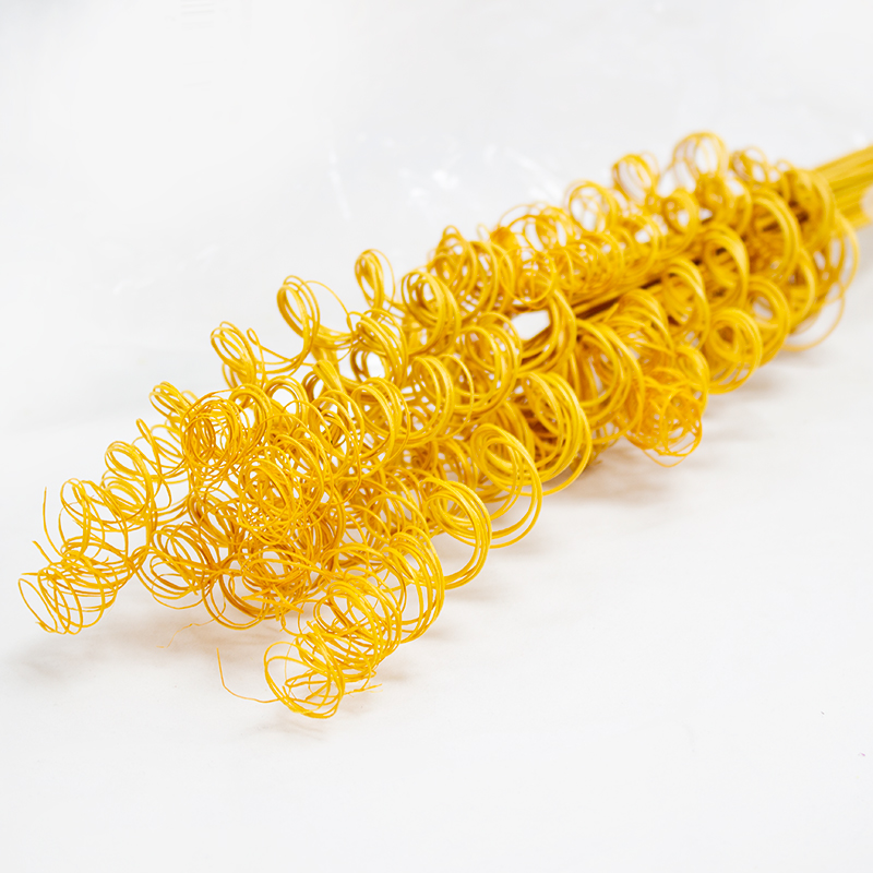 Curly Tingting 60cm / 100pcs Amarelo