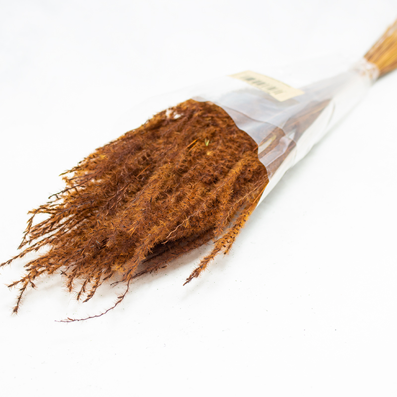 Fine Grass - 50cm - 50gr - Laranja