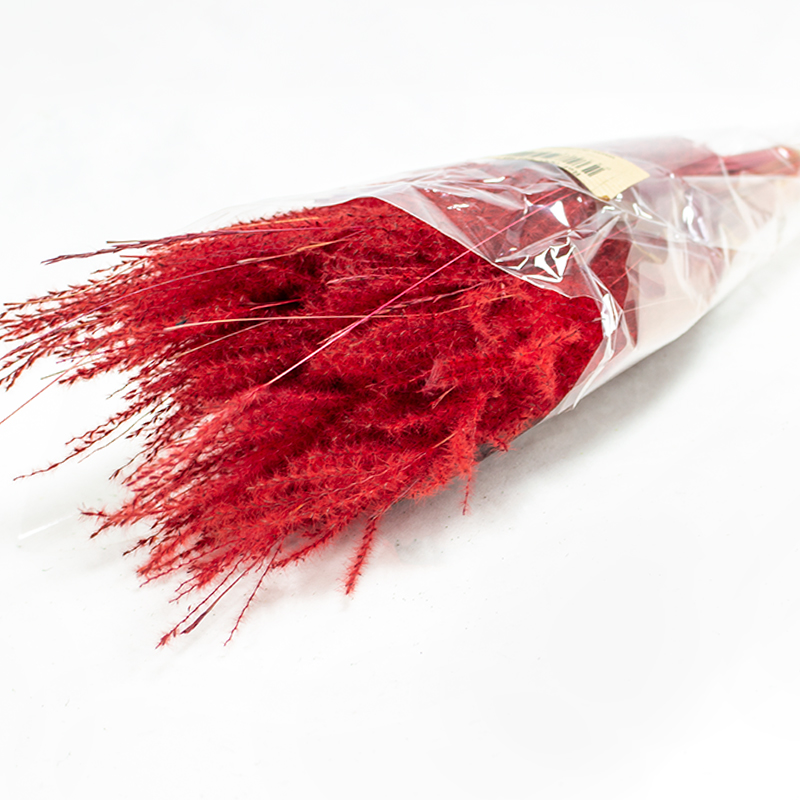 Fine Grass - 50cm - 50gr - Vermelho