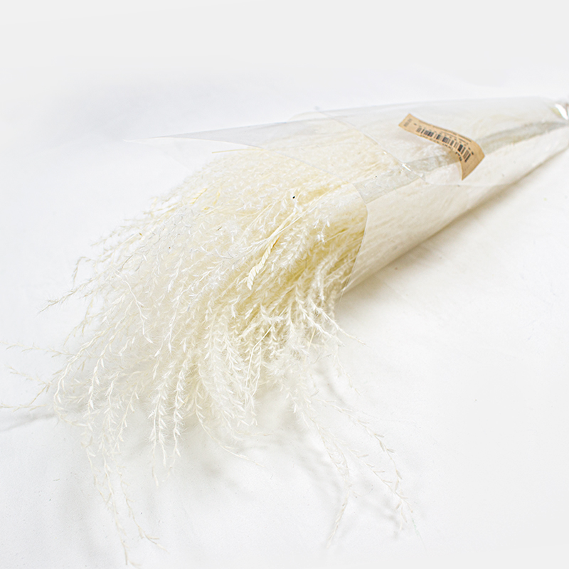 Fine Grass - 50cm - 50gr Branqueado