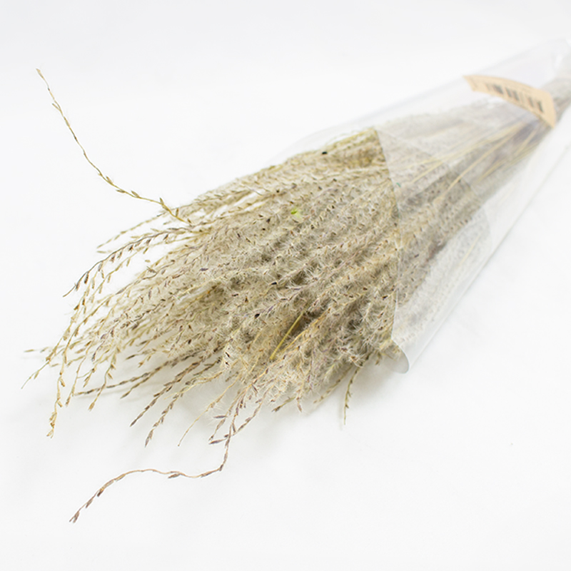 Fine Grass - 50cm - 50gr Natural