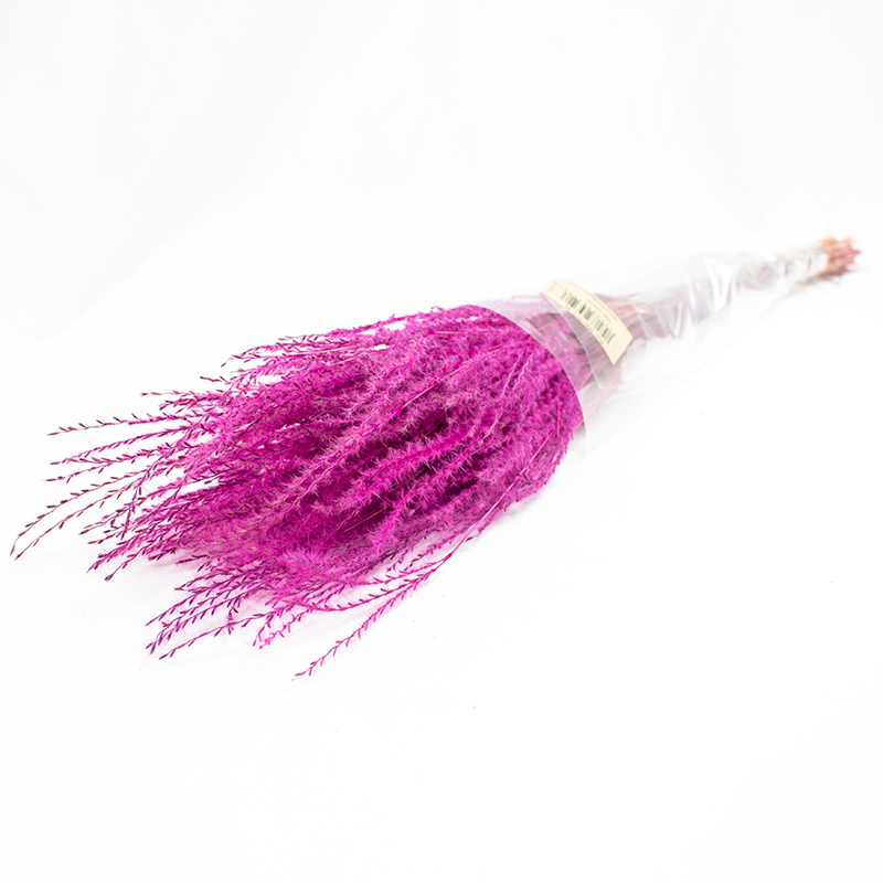 Fine Grass - 50cm - 50gr Fuxia