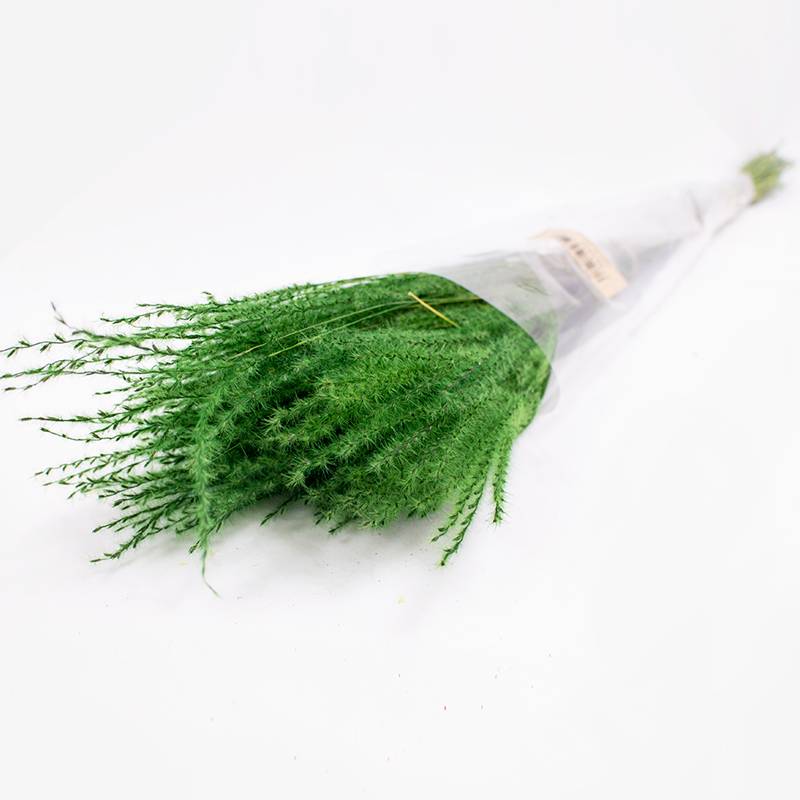 Fine Grass - 50cm - 50gr Verde Escuro