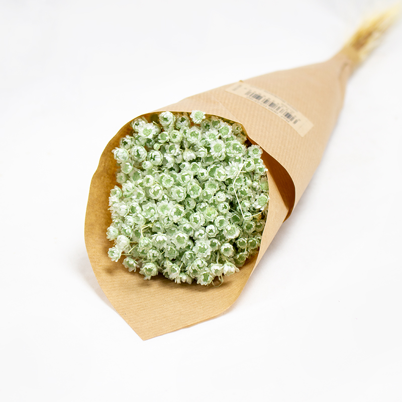 Glixia 50cm 50gr Verde Aguá