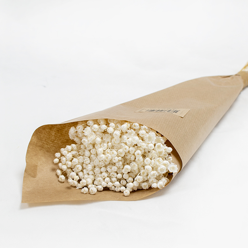 Glixia 50cm 50gr Branco