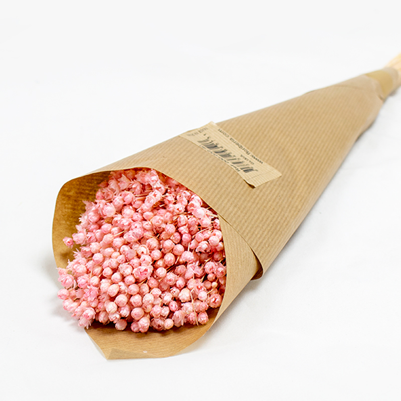 Glixia 50cm 50gr Rosa Claro