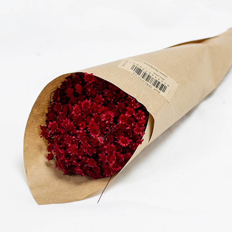 Glixia 50cm 50gr Vermelho