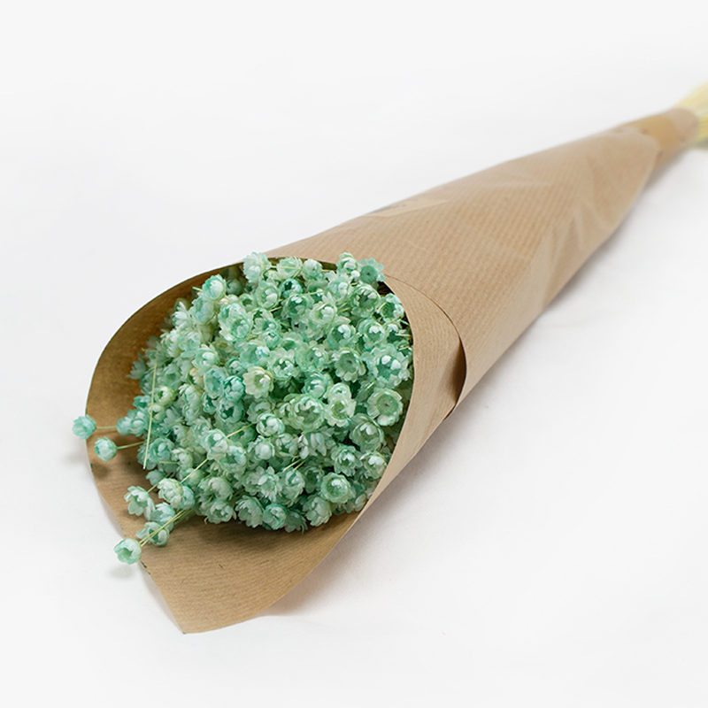 Glixia 50cm 50gr Verde Água