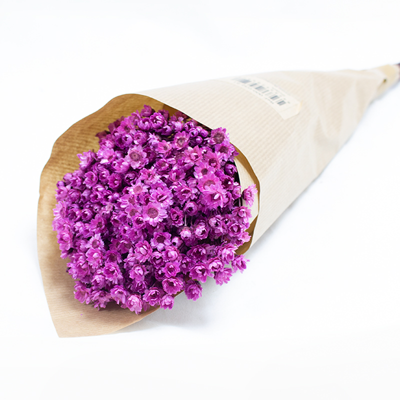 Glixia 50cm 50gr Rosa Velho