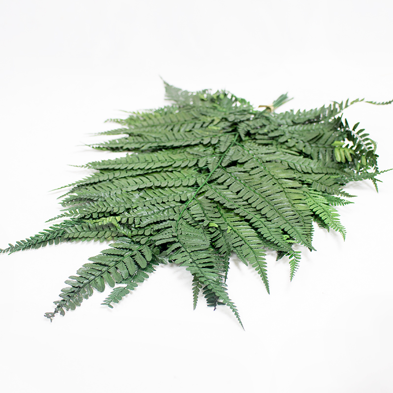 Helecho Cuero - 40cm Verde