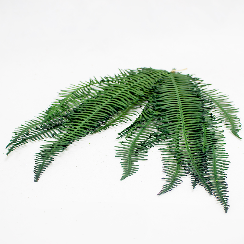 Helecho Seagul - 25cm - 10 pcs -  Verde