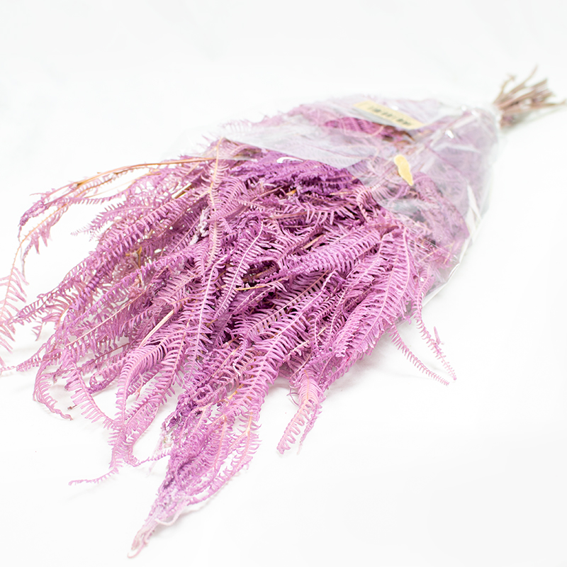 Helecho x3 - 60-80cm Roxo