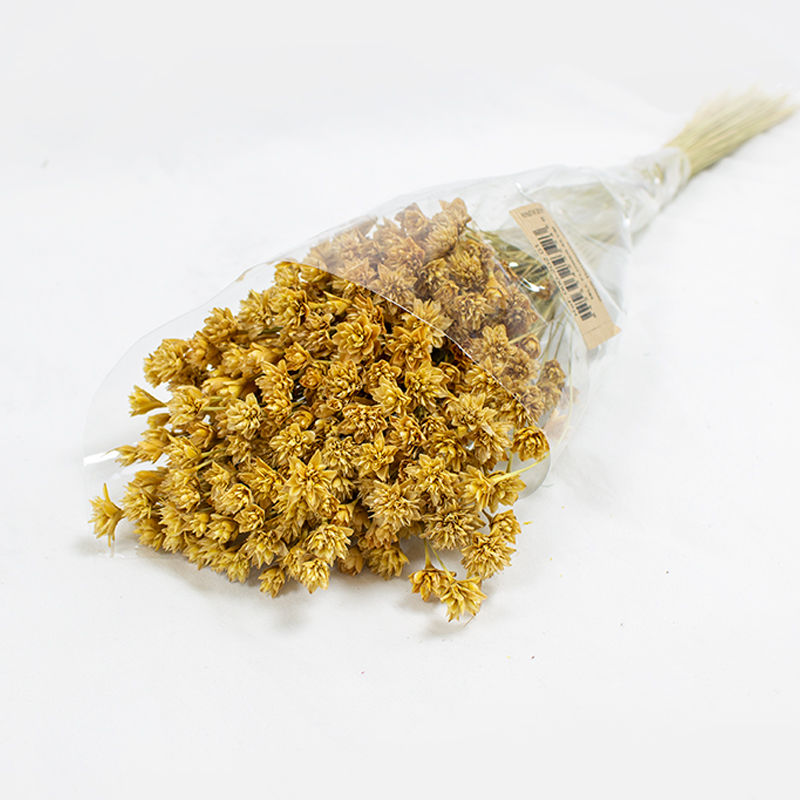 Hill Flowers 45cm 100gr Natural