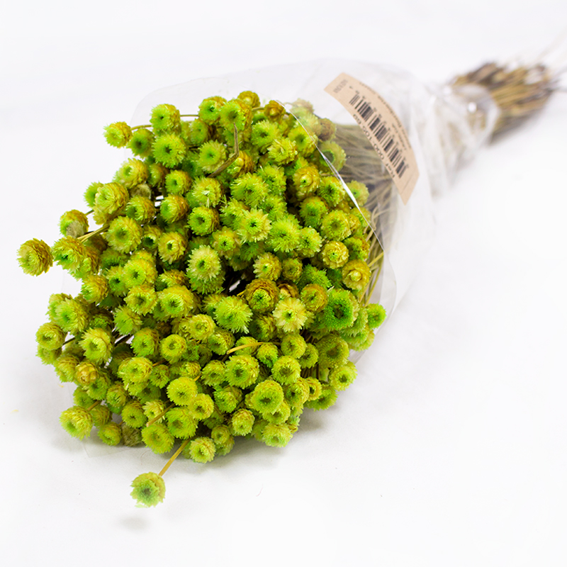 Jazilda 50cm 100gr Verde Claro