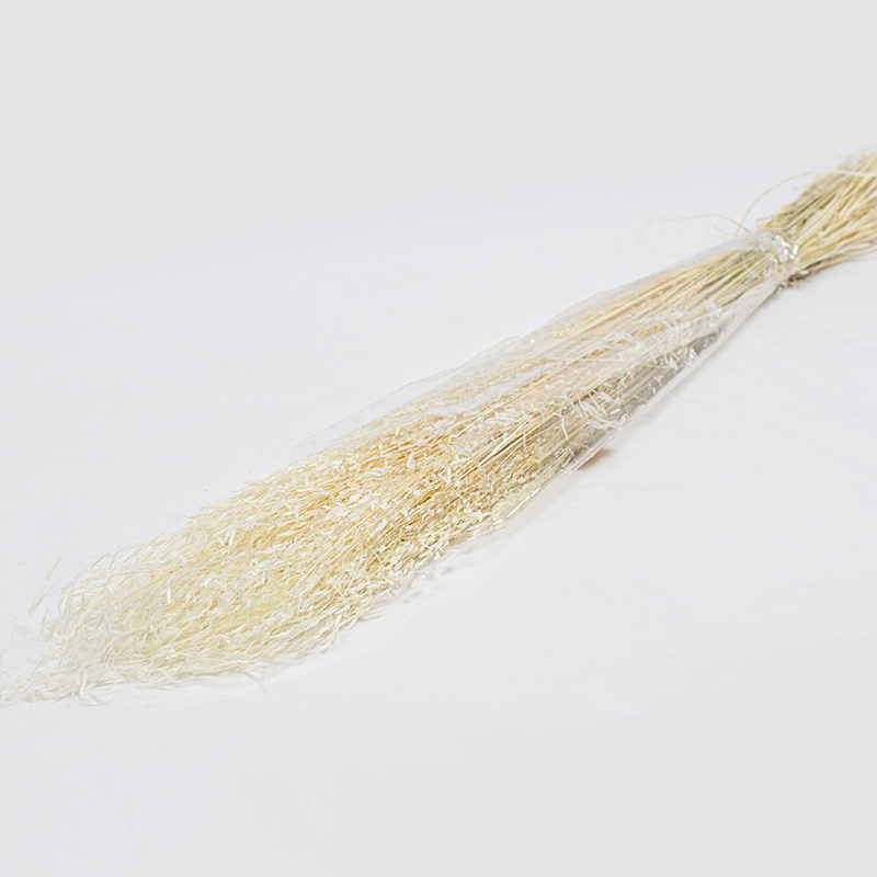 Mini Gras 60cm Branqueado