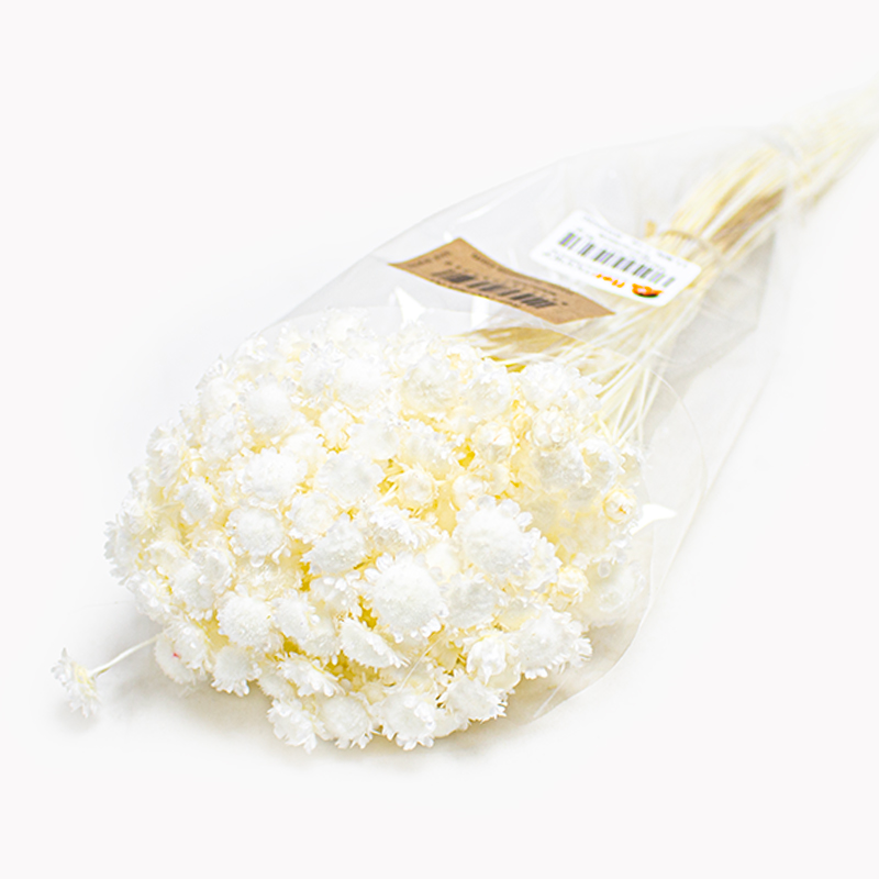 Margaret 50cm / 80 gr Branqueada