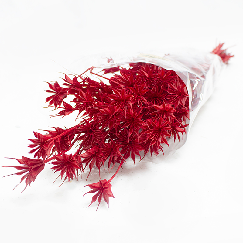 Nigela - 50cm - 100gr - Vermelho