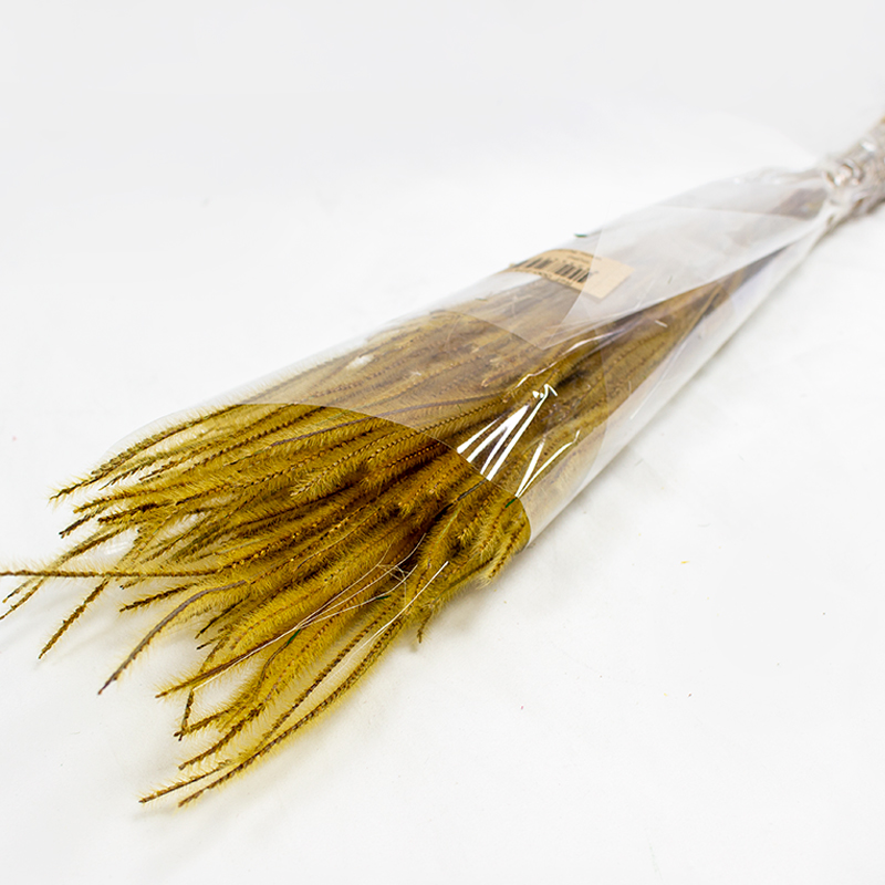 Ouro Flor seca 60cm 50 gr Natural