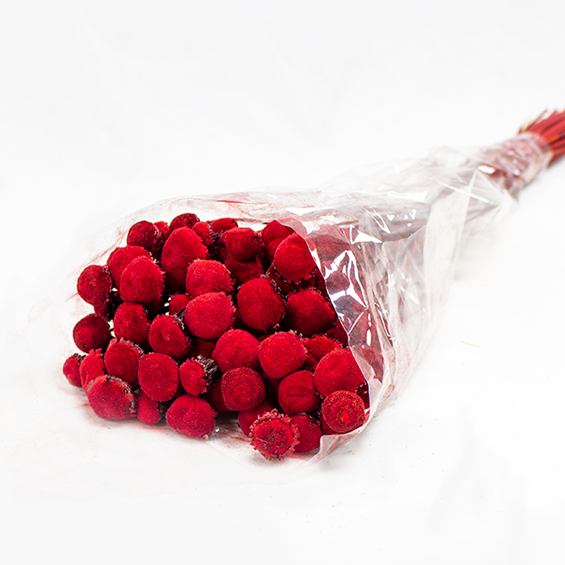 Pali Pala 50cm - 150gr - Amarelo