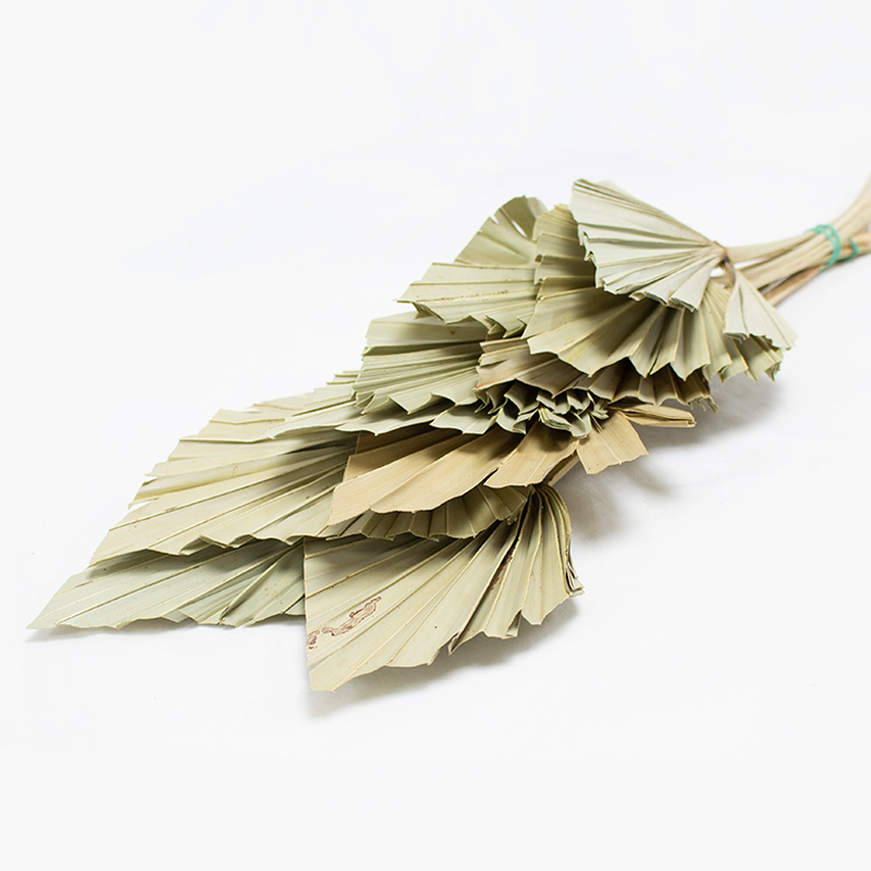 Palm Spear 50cm / 10 pcs Natural