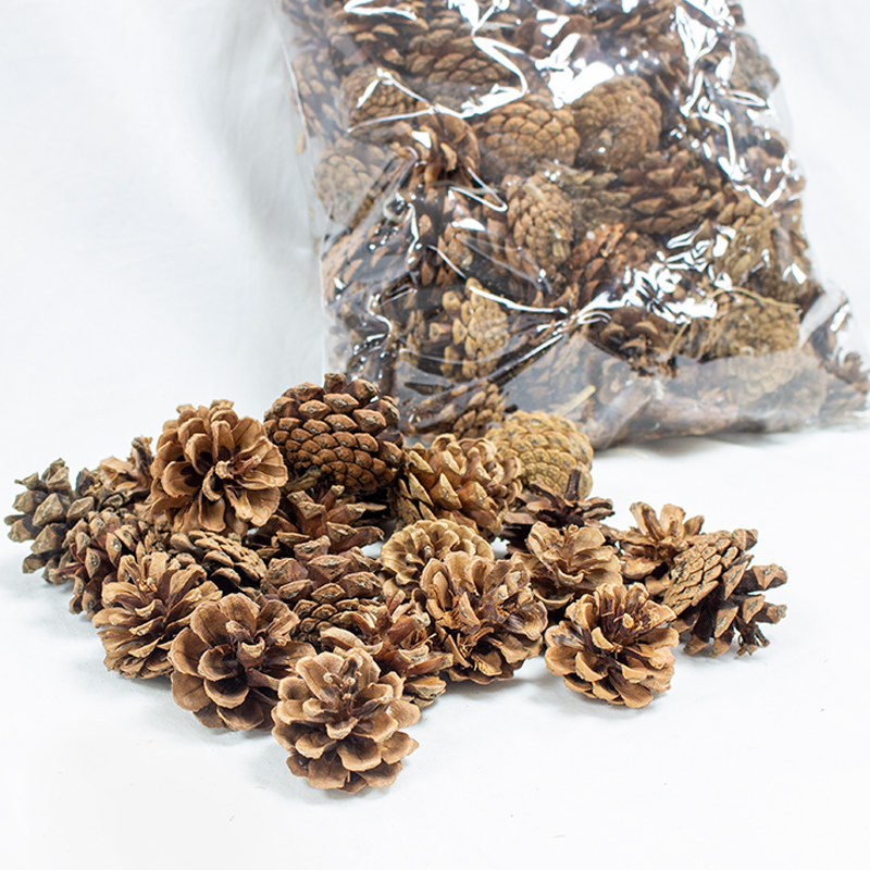 Pinhas 3 x 5cm - 500 gr