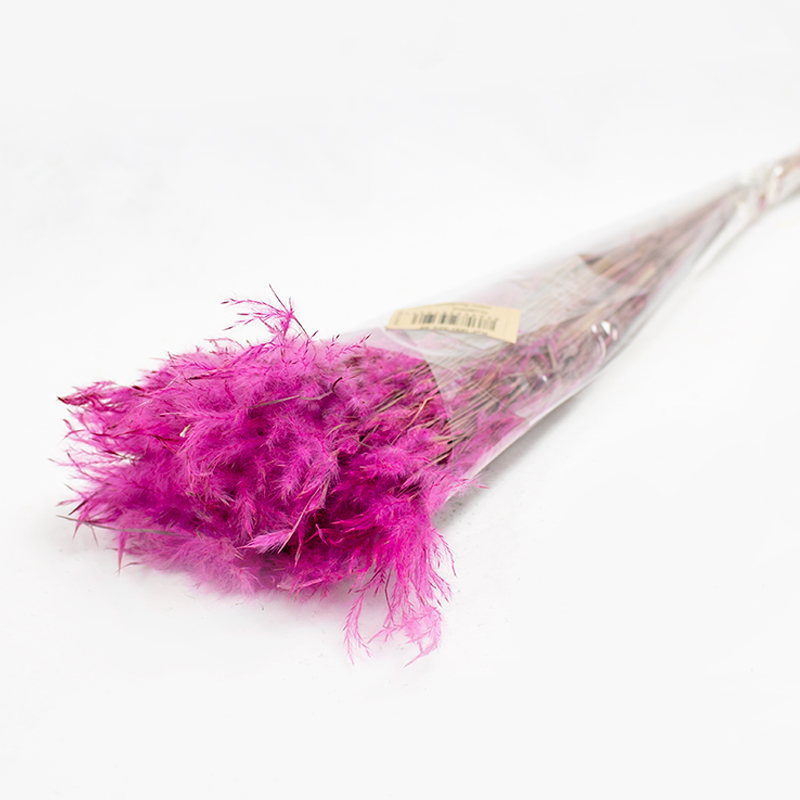 Pluminha 60cm - 50gr - Verde