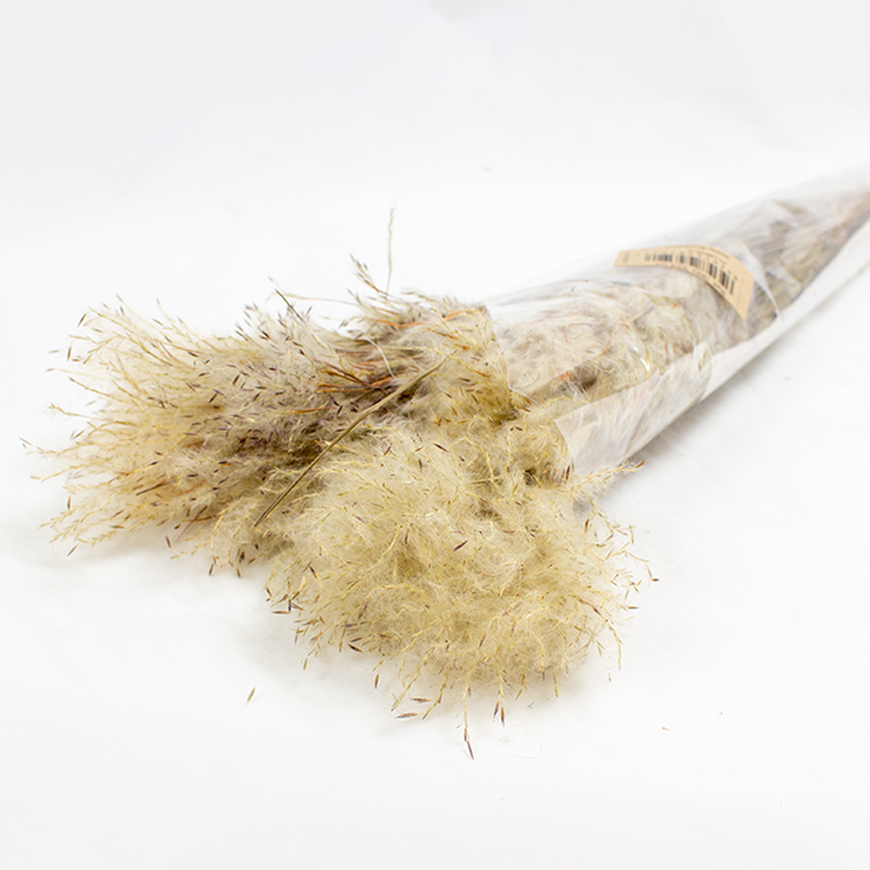 Pluminha 60cm - 50gr - Natural