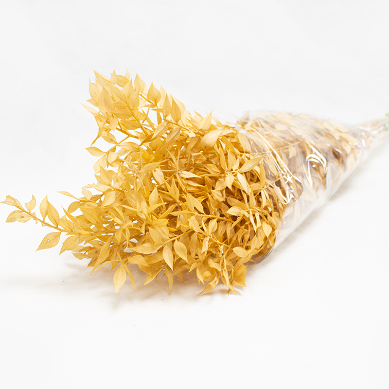 Ruskus 70/80cm Laranja Claro