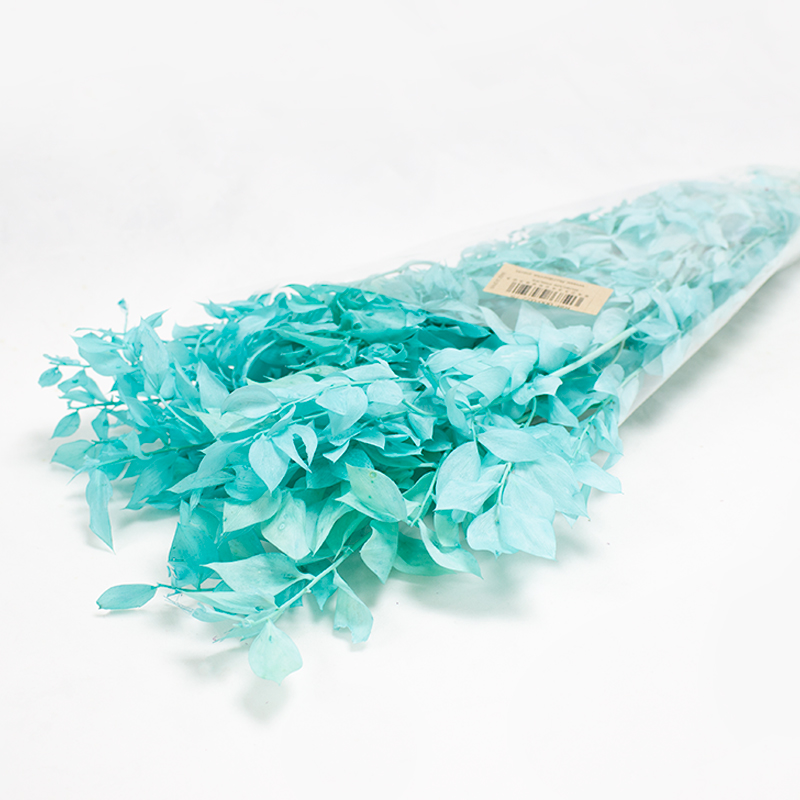 Ruskus 70/80cm Verde Aguá