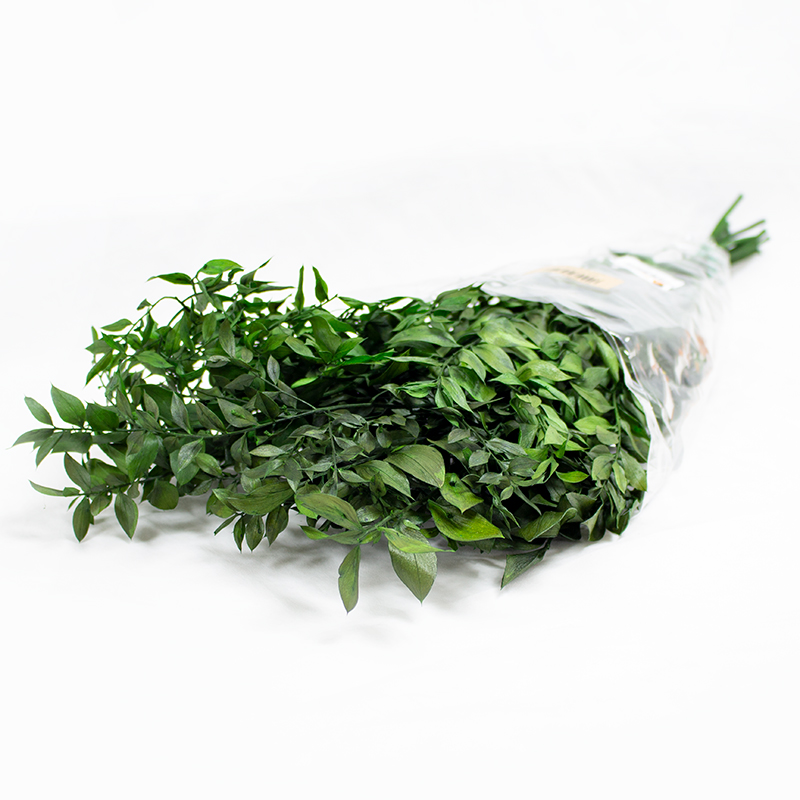 Ruskus Press70/80cm Verde