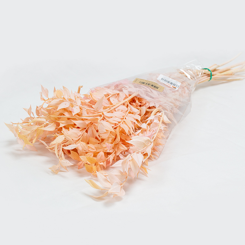 Ruskus Press70/80cm Rosa