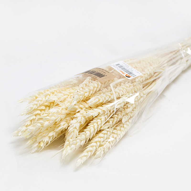 Trigo 80cm 200gr Branqueado