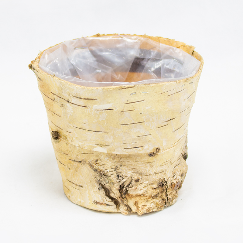 Base Casca Bétula11 x10 (Un)