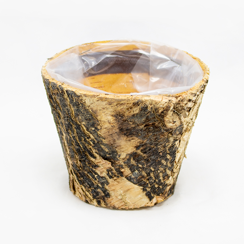 Base Casca Bétula 13 x11 (Un)