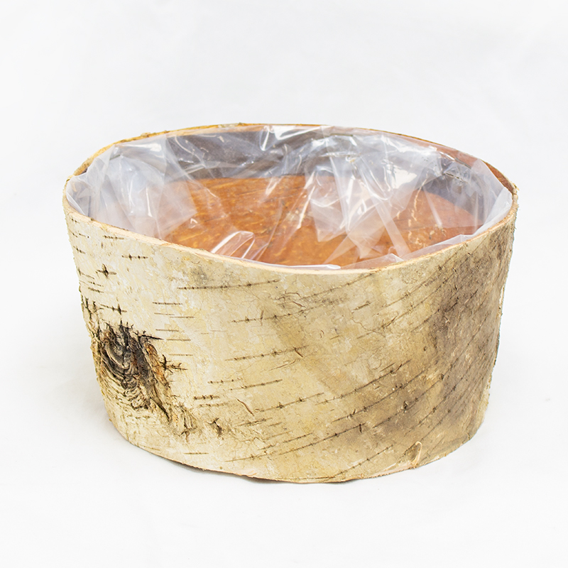 Base Casca Bétula 22 x 11 (Un)