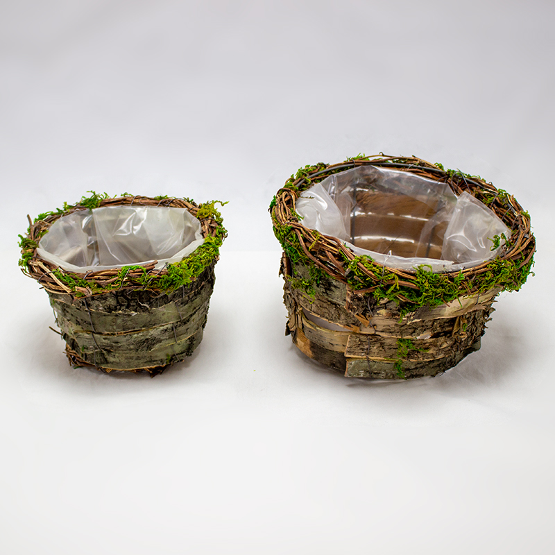 Conjunto de cestos em fita de madeira com musgo