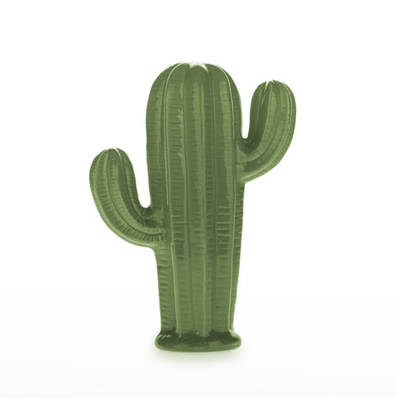 Cacto Porcelana 17 x23  Verde