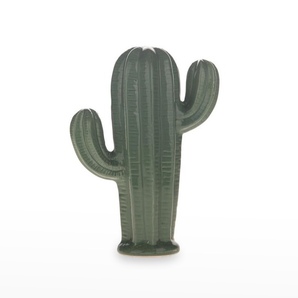 Cacto Porcelana 17 x23  Verde Escuro