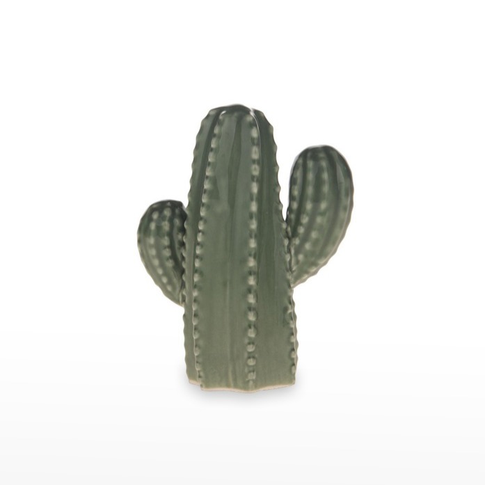 Cacto Porcelana 10 x12  Verde Escuro