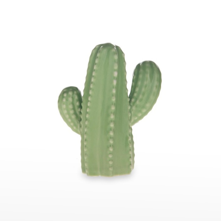 Cacto Porcelana 10 x12  Verde
