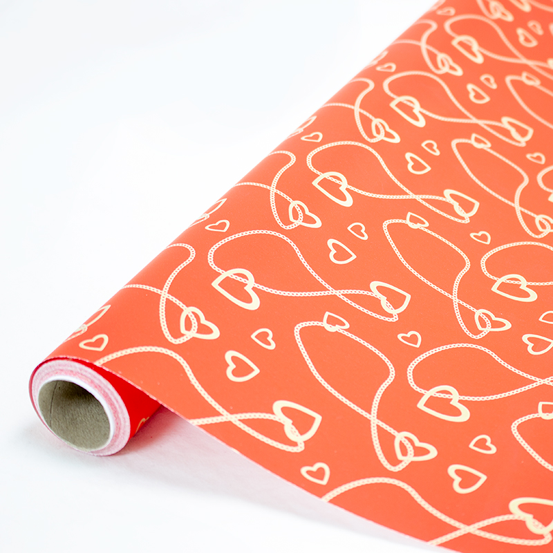 Rolo Gina 100cm x 10 mts