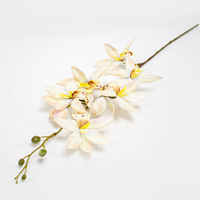 Cambria Art. 69cm - Creme (Un)