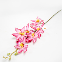 Cambria Art. 69cm - Fuchia (Un)