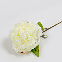 Paeonia Art. Frost - Branca 60cm