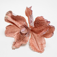 Poinsetia Rosa Velho 20cm  (Un)